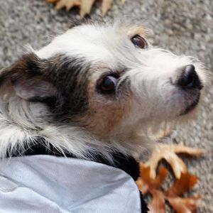 Meet your Posher, Sally